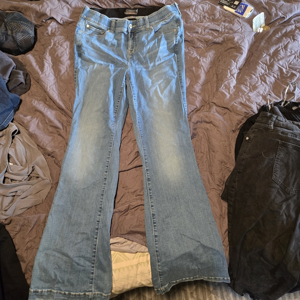 Torrid Light Blue Flare Jeans - Tall Inseam
